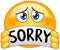 Emoticon with sorry sign