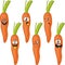 Emotion cartoon carrot vegetables set 017