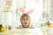 Emotional boy wearing bunny ears headband at table with Easter eggs, indoors