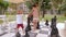 An emotional family plays chess with giant pieces during the summer holidays.