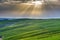 Emotional green fields in the light of the spring sunshine in Tu