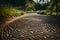 The emotional journey through a carefully composed photograph of footsteps on a winding path, each imprint telling a story