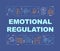 Emotional regulation word concepts blue banner