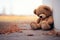 Emotional solitude Childs teddy bear alone, looking sad and disappointed