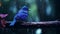 Emotional Storytelling: Blue Bird On Branch In Rain Wallpaper