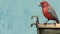 Emotional Storytelling: Red Bird On Faucet Sink Illustration