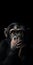 Emotionally Charged Chimpanzee Illustration For Mobile Phone Lock Screen