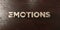 Emotions - grungy wooden headline on Maple - 3D rendered royalty free stock image