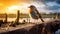 Emotive Bird Photography: A Poetic Encounter On An Old Pier