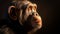 Emotive Chimpanzee Portrait: Vibrant Backlit Photography In Soft Light