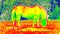 Emperature detection of horse grazing in meadow. Infra thermal camera. Thermography measurement, changed ultra violet light