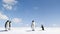 Emperor and Adelie penguins