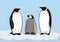 Emperor penguin FAMILY