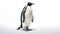 Emperor Penguin isolated against white background