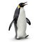 Emperor penguin. isolated on white. 3D illustration