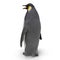 Emperor penguin. isolated on white. 3D illustration