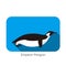 Emperor Penguin sliding on the ground, Penguin seed series, vector