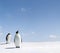 Emperor penguins