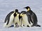 Emperor Penguins with chick