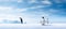 Emperor Penguins on the ice. north pole arctic with group penguins landscape