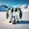 Emperor penguins look over their new off-spring