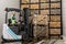 Employee on electric forklift carry container with ripe apples at storage