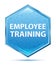 Employee Training crystal blue hexagon button