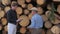 Employees of sawmills measure the ends of the logs trees and writes the result