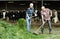 Employees working in livestock barn