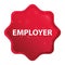 Employer misty rose red starburst sticker button