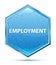 Employment crystal blue hexagon button