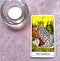 The Empress Tarot Card Mother Mothering Mother Earth Woman Feminine