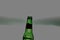 Empty 33cl bottle of beer close up, edited; sea view background. iconic image