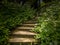 Empty abandoned stone staircase in a thick forest