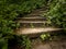 Empty abandoned stone staircase in a thick forest