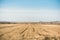 Empty agricultural field