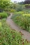 Empty alley in blooming garden