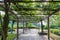 Empty alley in garden with leaves cover on roof.