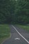 empty asphalt road in the countryside in autumn - vintage matte