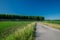 Empty asphalt road in the countryside between cultivated fields, rows of poplars