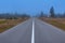 Empty asphalt road in mountain forest at spooky dusk