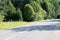 Empty asphalt street/road in Hot Summer weather. Forest with different trees in the background. Road turn. Natural color.