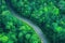Empty asphalt winding country road pathway in mountain forest scenic abstract background wallpaper.