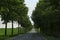 Empty asphalted road surrounded by trees in a field during daylight