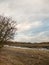 Empty autumn fall bare stream landscape background branches bare