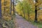 Empty autumnal path in city park, Lappeenranta Finland
