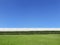 Empty backyard isolated on with blue sky with copy space