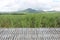 Empty Bamboo table in front of sugarcane fields with mountains and blue sky as a backdrop. It can be used for display or montage