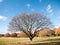 Empty bare autumn tree branches landscape open view space