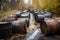 empty barrels of toxic waste that were once full, now being cleaned up